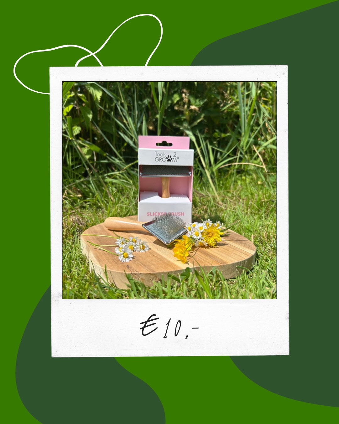 Tools 2 Groom | Borstel